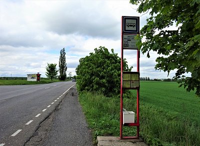 DSC01717 (2).JPG