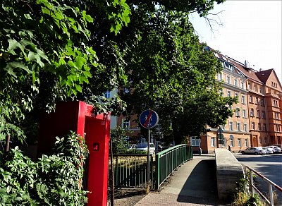 DSC02837 (2).JPG
