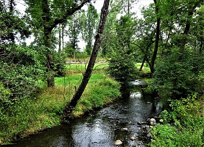 Botič