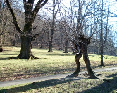 Příroda je mocná.
