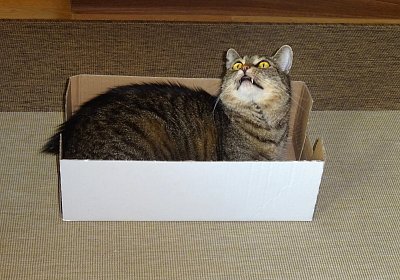 Jú!