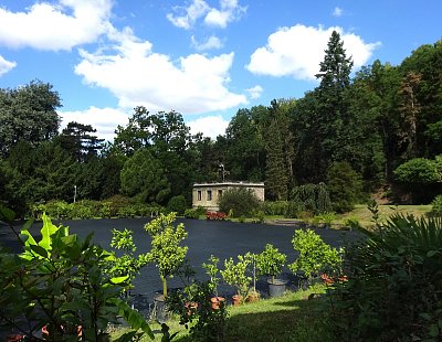 V Botanické zahradě Malešice