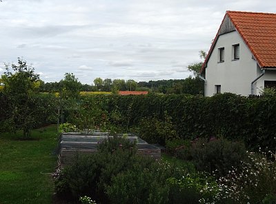 Konec léta