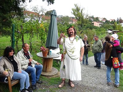 Bacchus na vinici Máchalka