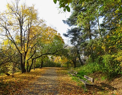 Lavičky