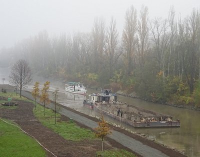 Setkání v mlze
