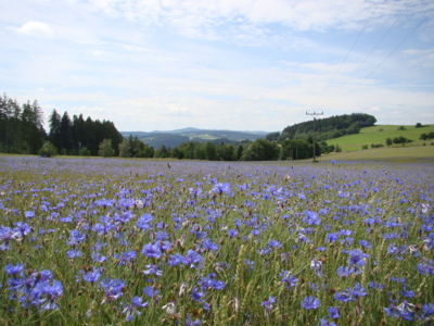 ...modro v Podkrkonoší
