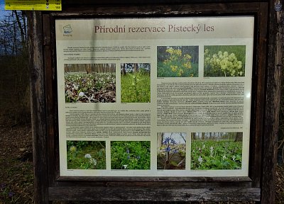 DSC09897.JPG