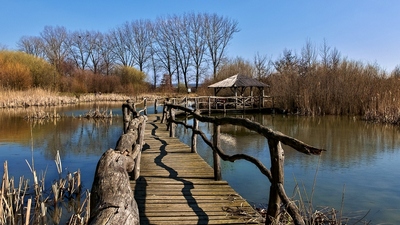 Mokřad u Mořic