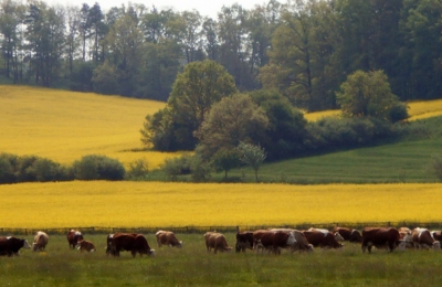 Země živitelka