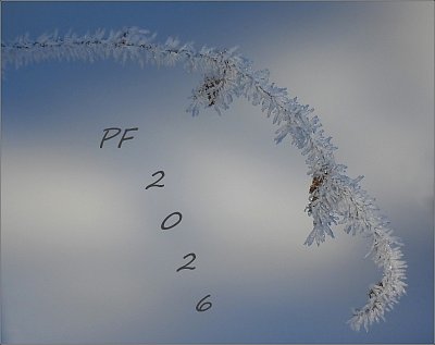 PF 2026 ♥♥♥♥♥