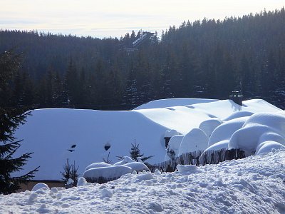 Pod peřinou