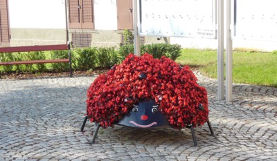 Beruška