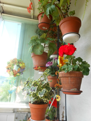 Balkon a zahrada