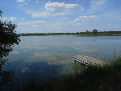 Včera u rybníčku.