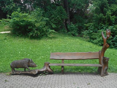 v parku