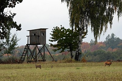 Pod svícnem bývá největší tma