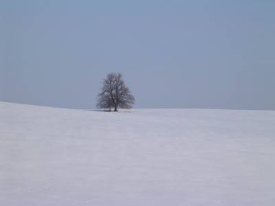 Samotář
