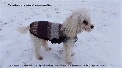 Vycházkový outfit