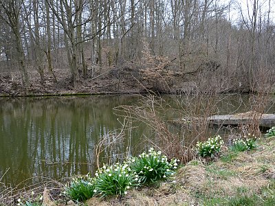Doubravník