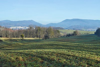 Pruhovaná pastvina