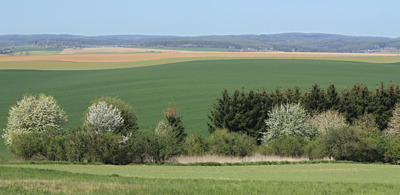 Haná