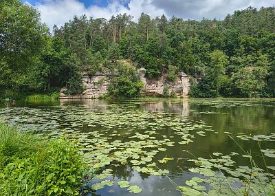 Na Kokořínsku - rybník Harasov