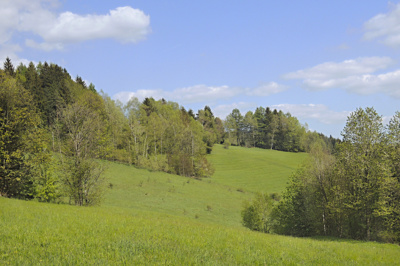 Horské louky