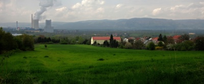Travička zelená