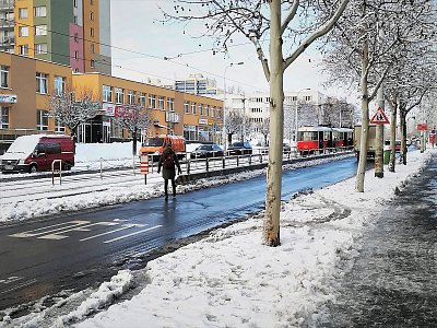 Pozor ledovka