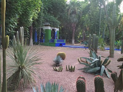 Zahrada Majorelle*