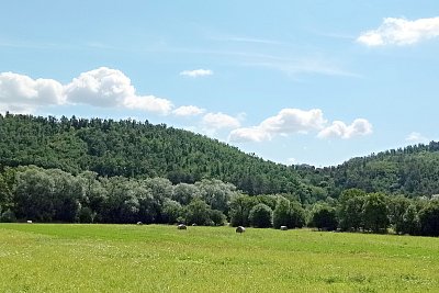Pod lesem sklizeno