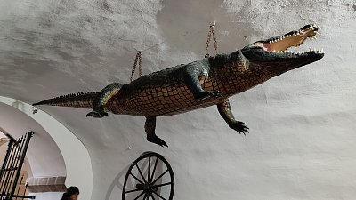 Pod Brněnským drakem ;-)