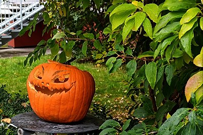 Dnes k ránu jsem potkal Halloween *