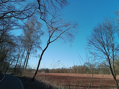 Stíny