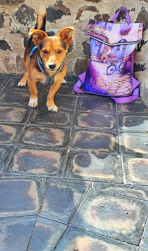 Rocky
