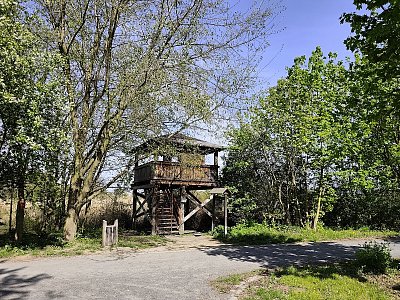 Ptačí pozorovatelna