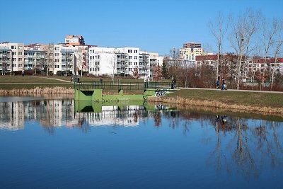 Zrcadlení