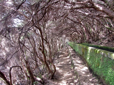 Tunel