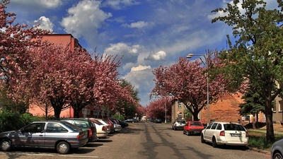 Rozkvetlá ulice