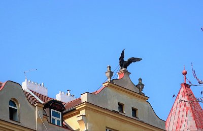 Křídla sokolí