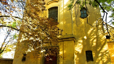 Světlo