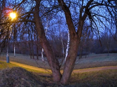Večerní