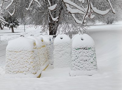 Módní barva letošní zimy?