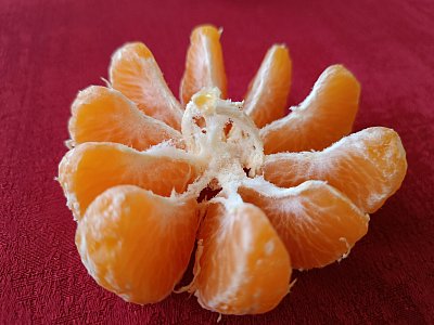 Rozdělená