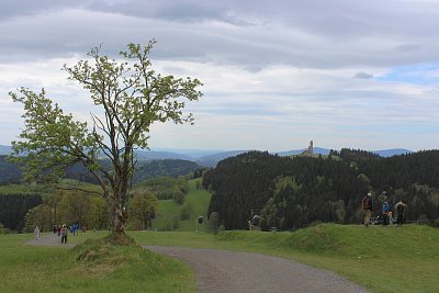 Cestou nahoru