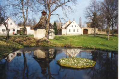 Zrcadlení