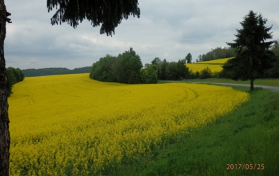 Jarní Vysočina