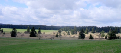 Jarní