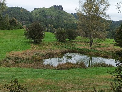 Jetřichovice